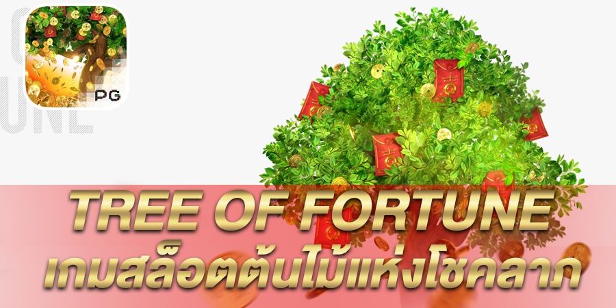 บทความ รีวิว เกมสล็อต Tree Of Fortune ต้นไม้แห่งโชคลาภ